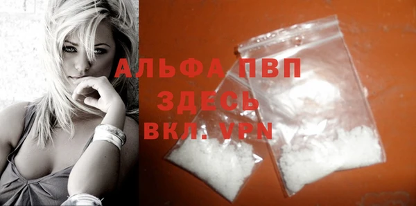 индика Ступино