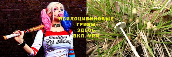 амф Белокуриха