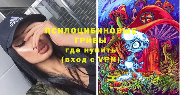 трава Беломорск
