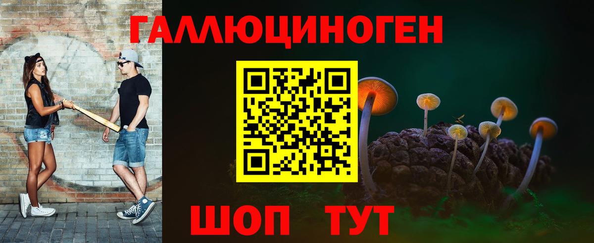 Псилоцибиновые грибы Psilocybine cubensis  Галлюциногенные грибы Psilocybe  Вход с VPN  Гай 